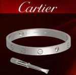 Cartier Love Bangle - Stainless steel Bangle